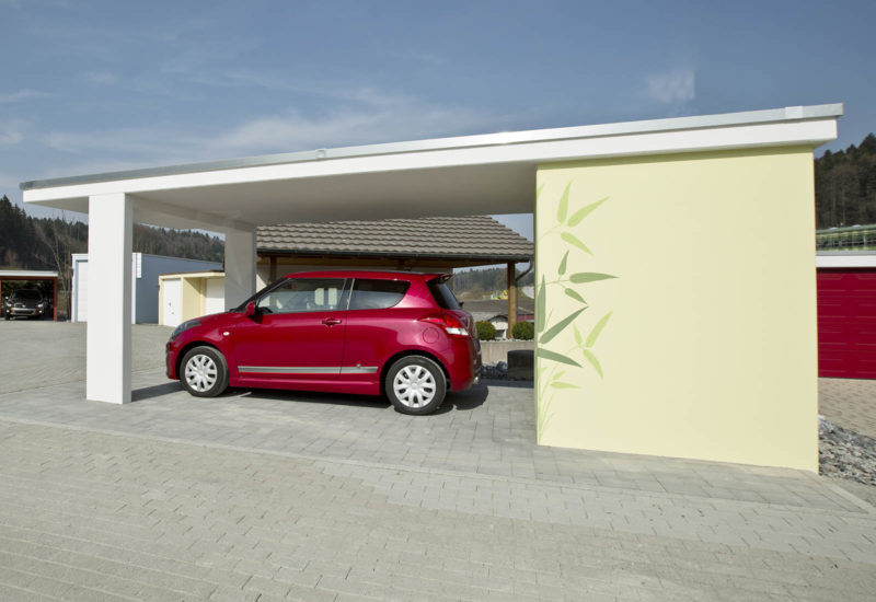 FRISBA® Carport PRAKTIKER